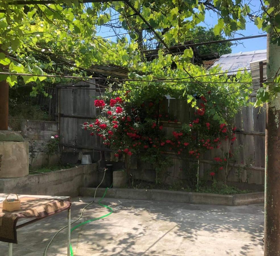 Guest House Anastasia Borjomi Exterior foto