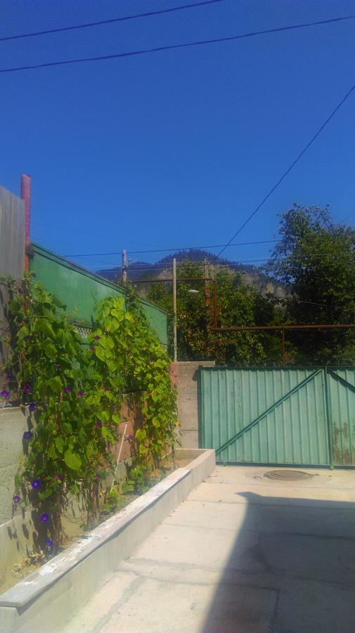 Guest House Anastasia Borjomi Exterior foto